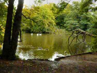 Allestree Park Lake