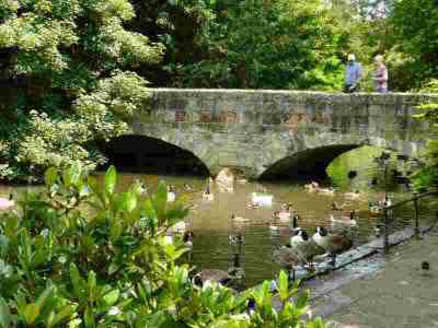 Parks to Explore - Markeaton Park