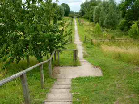 Stanhope Wood, Willington Walk